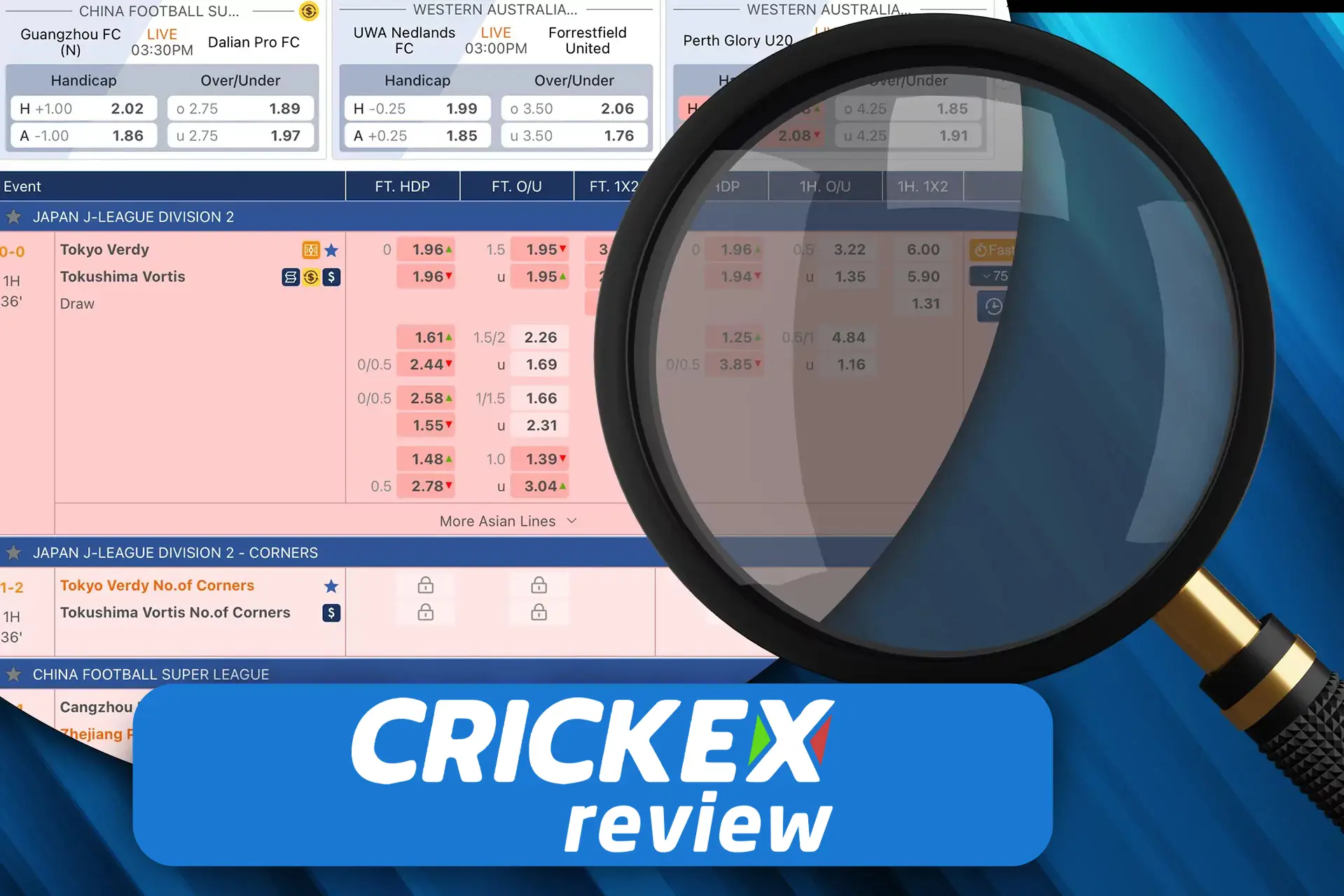 There are pretty attractive odds for betting at Crickex.